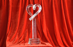 2019年浙江省慈善獎機(jī)構(gòu)捐贈獎